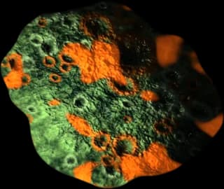 A Volatile asteroid