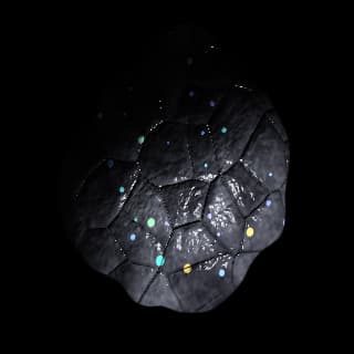 A Rare-earth asteroid